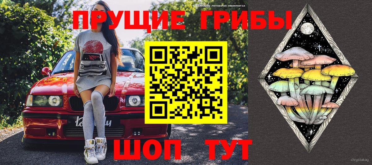 Галлюциногенные грибы мицелий Ростов Великий
