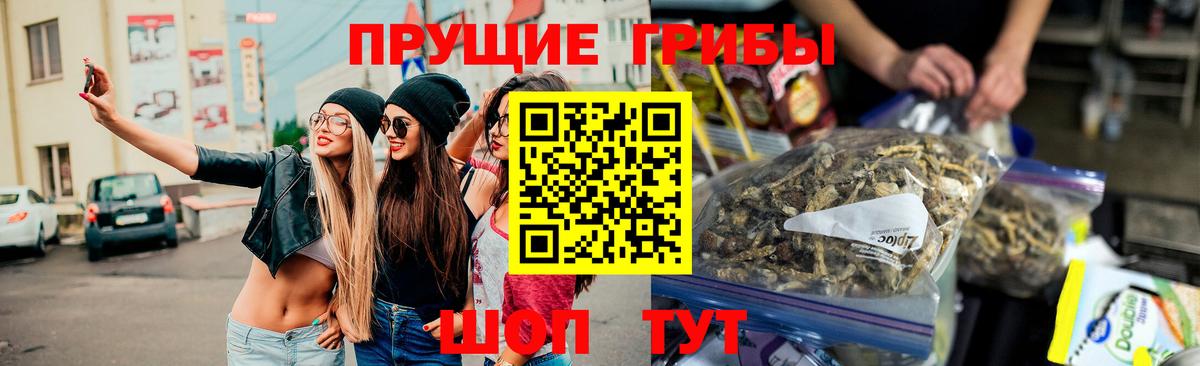 Ростов Великий  Галлюциногенные грибы GOLDEN TEACHER  Вход с VPN 